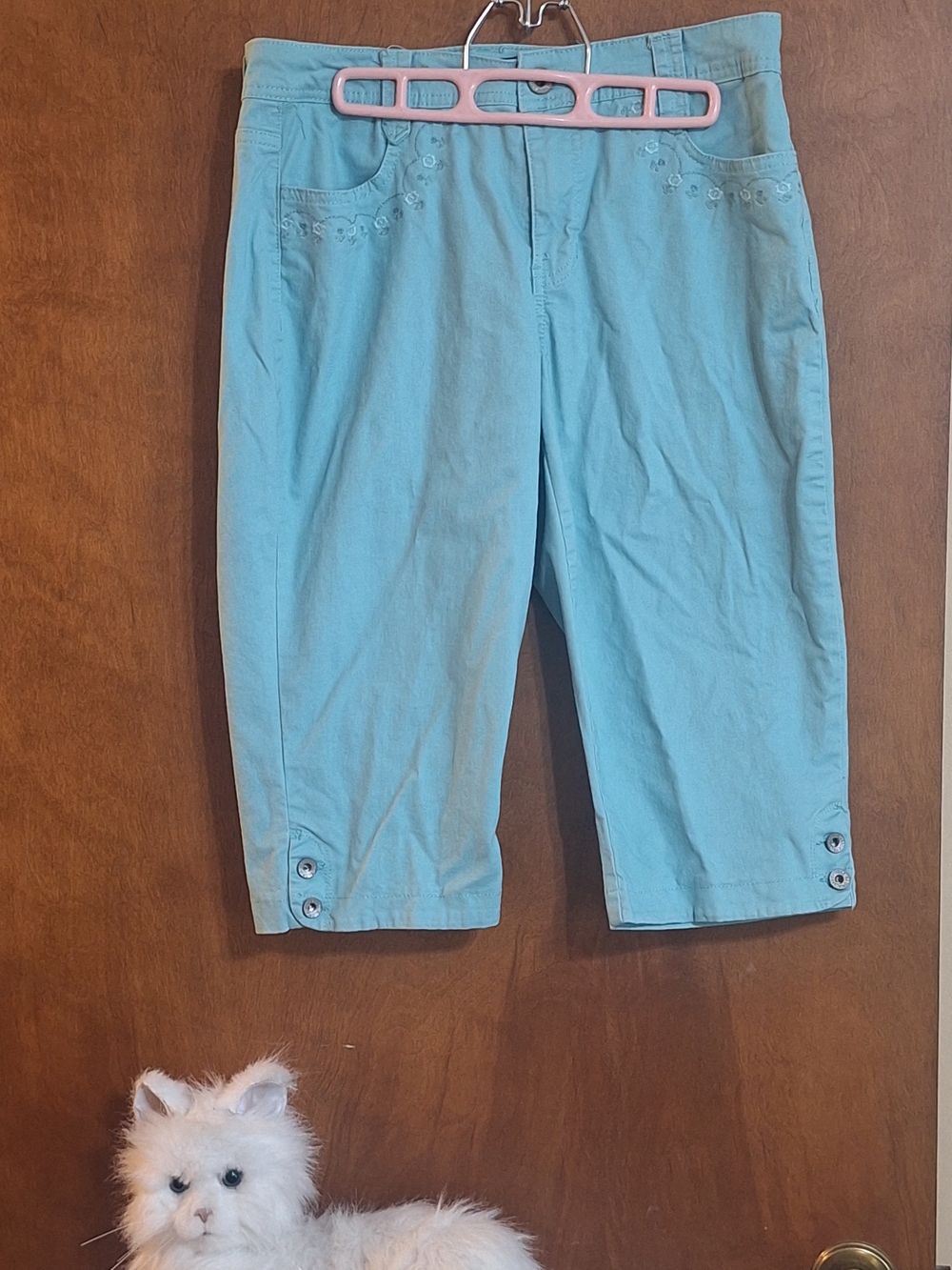 Gloria Vanderbilt Light Teal Capri Pants